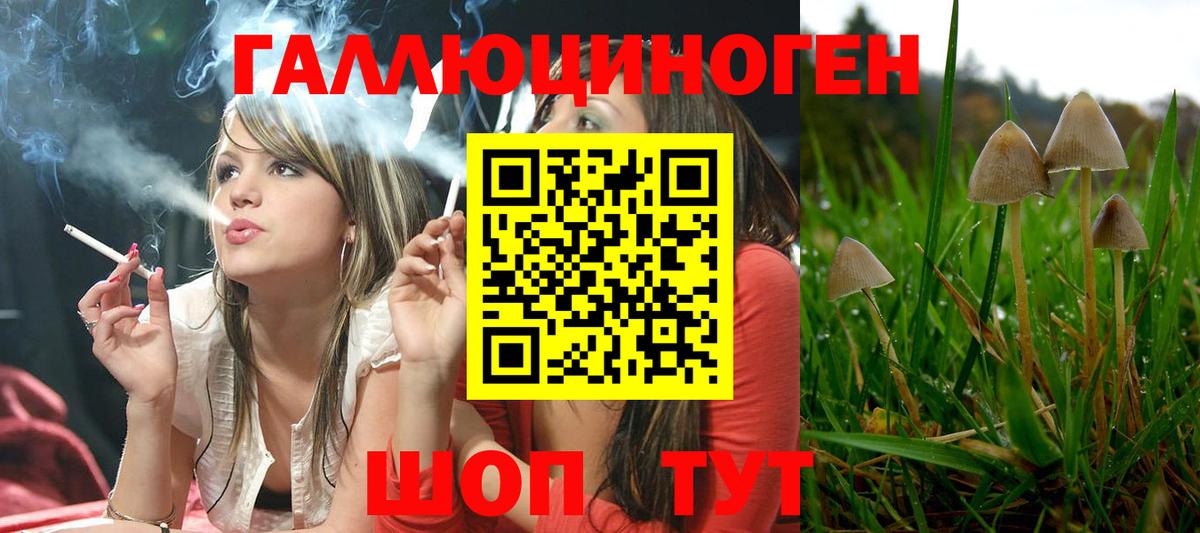 купить   Псилоцибиновые грибы MAGIC MUSHROOMS  Вход с VPN  Магнитогорск 
