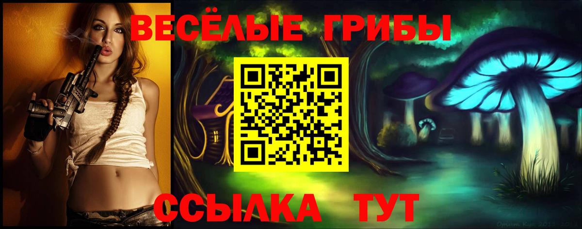 Галлюциногенные грибы Psilocybine cubensis Магнитогорск