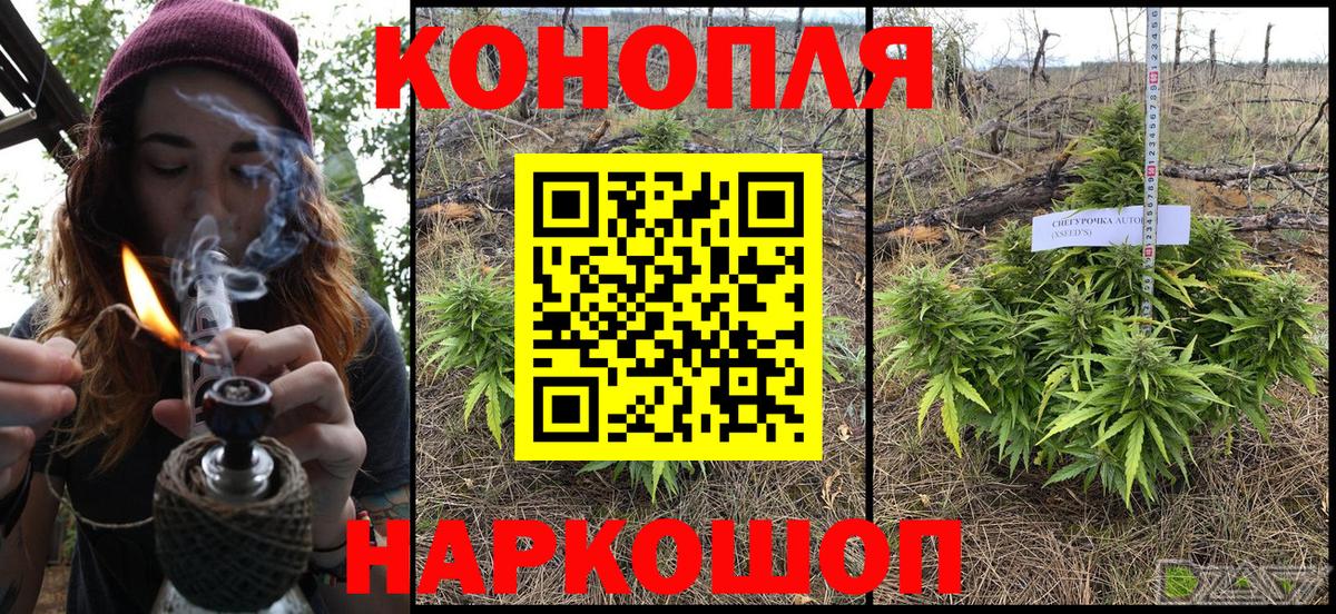 МАРИХУАНА сатива  Конопля планчик  Магнитогорск  Вход с VPN 